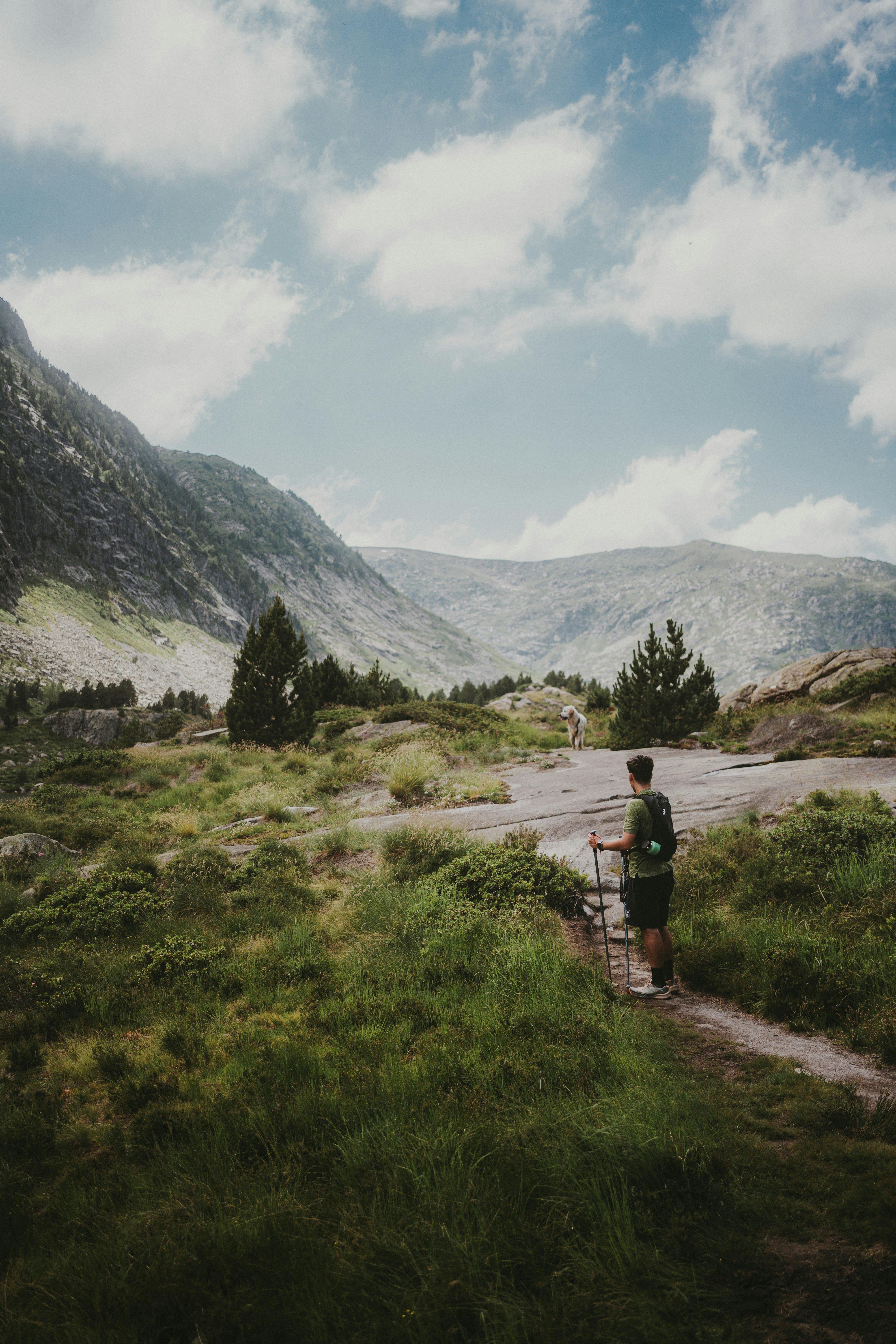 page banner