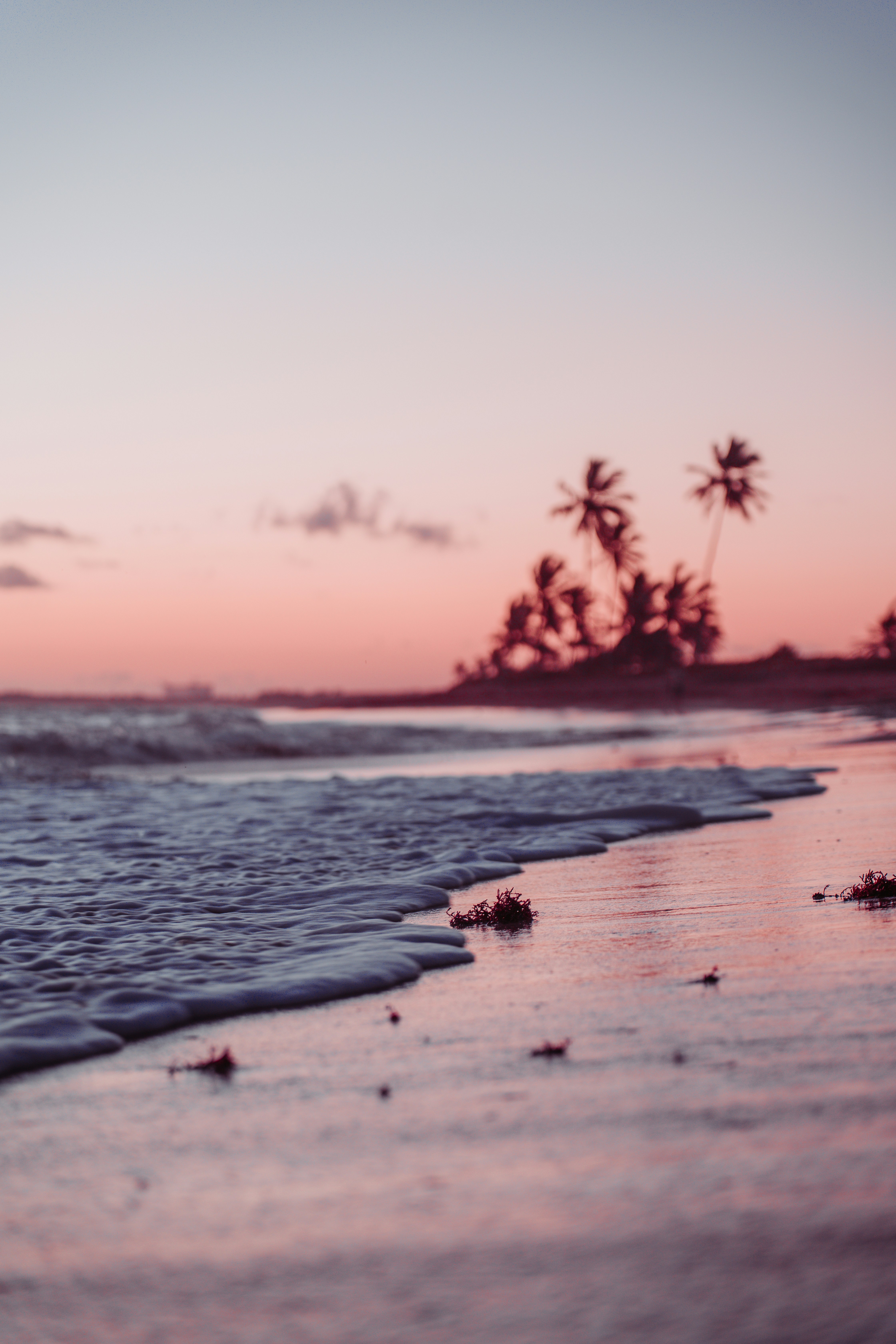 page banner