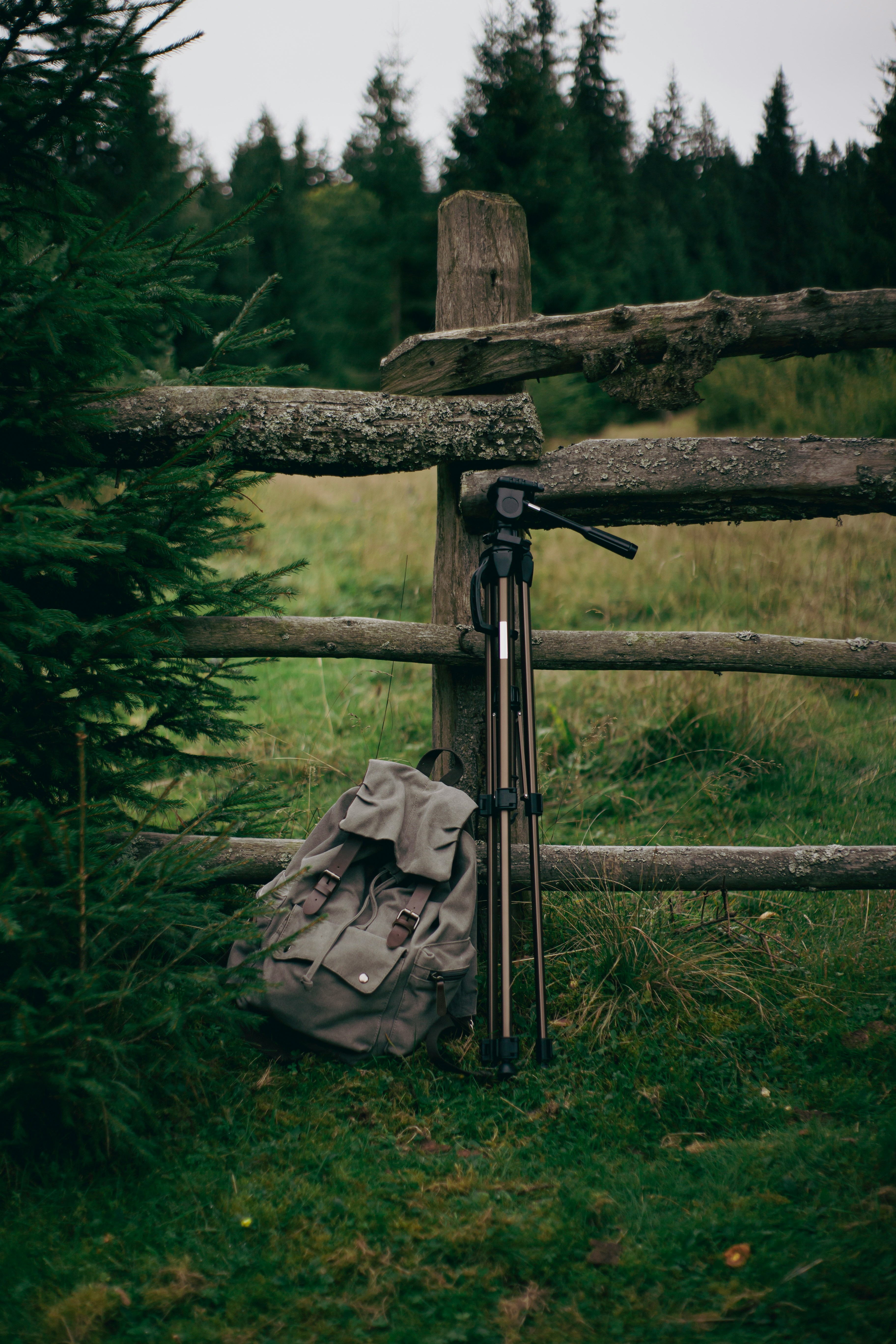 page banner